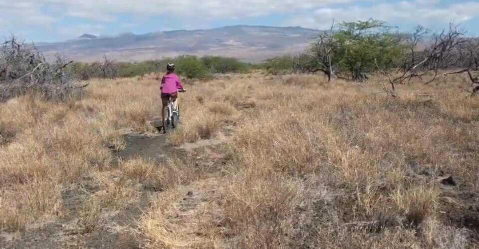 bmw-biking.png