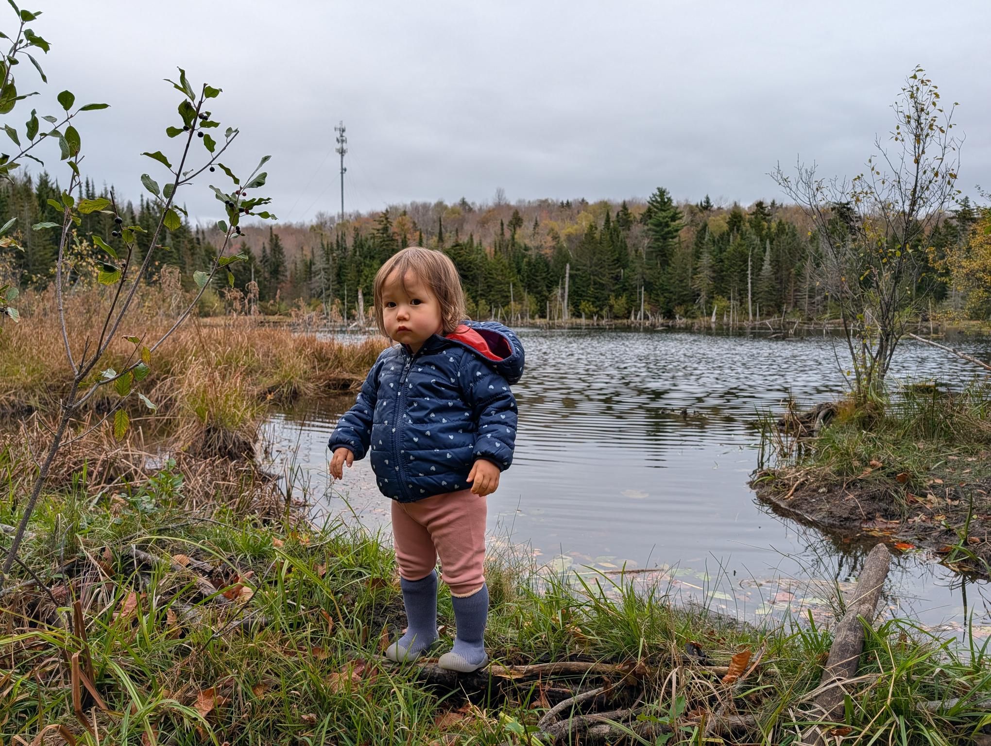 The pond in the Snow Mountain Conservation Area that drains into Stony Brook with the operating cellular tower in the background